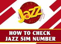 How to check Jazz number