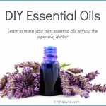 How to make essential oils