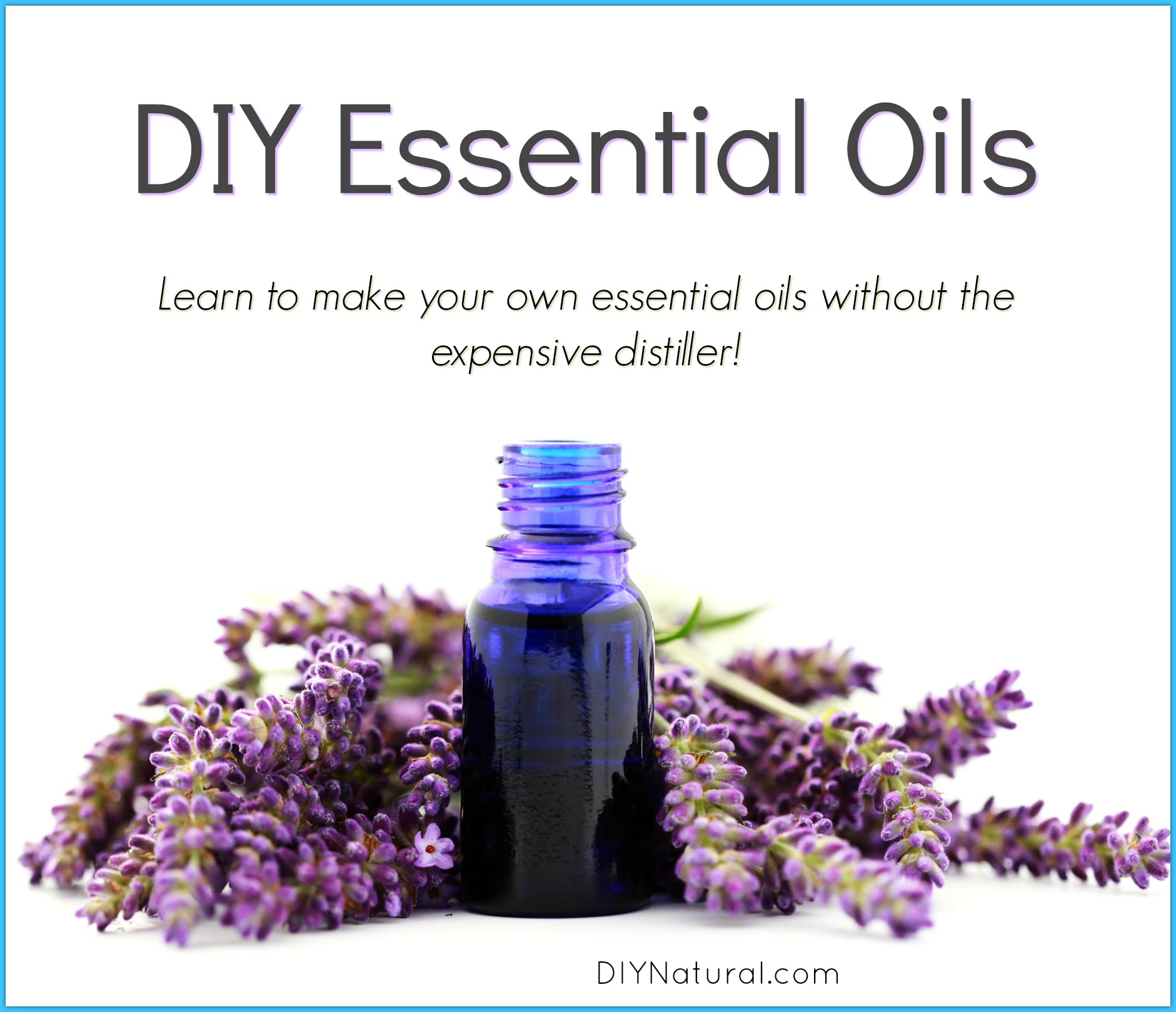 How to make essential oils