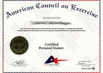 american council on exercise