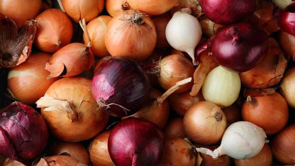 How to store onions