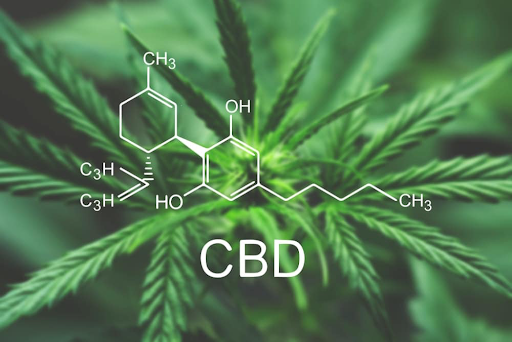 CBD's action in your body