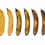 How to ripen Bananas?