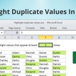 How To Highlight Duplicates In Excel? Users must Know