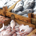 How to Choose the Best Fish for Your Market