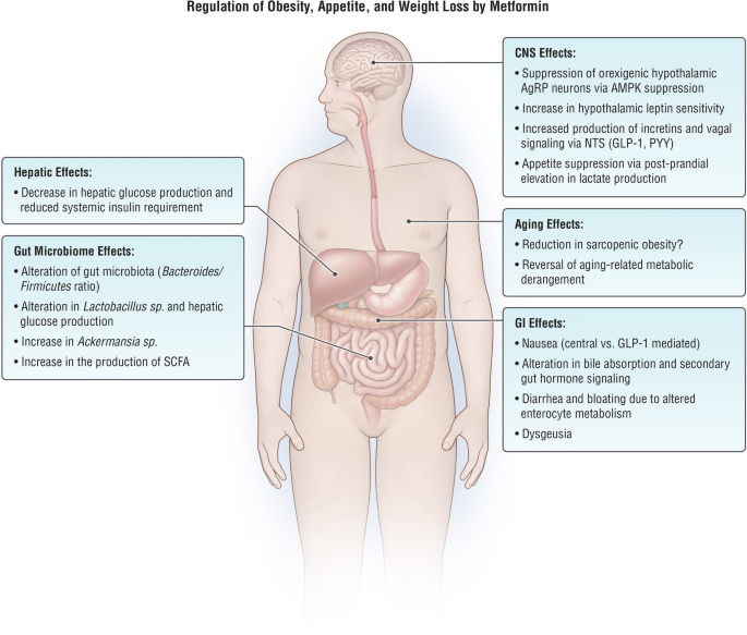 Weight Loss or Weight Management